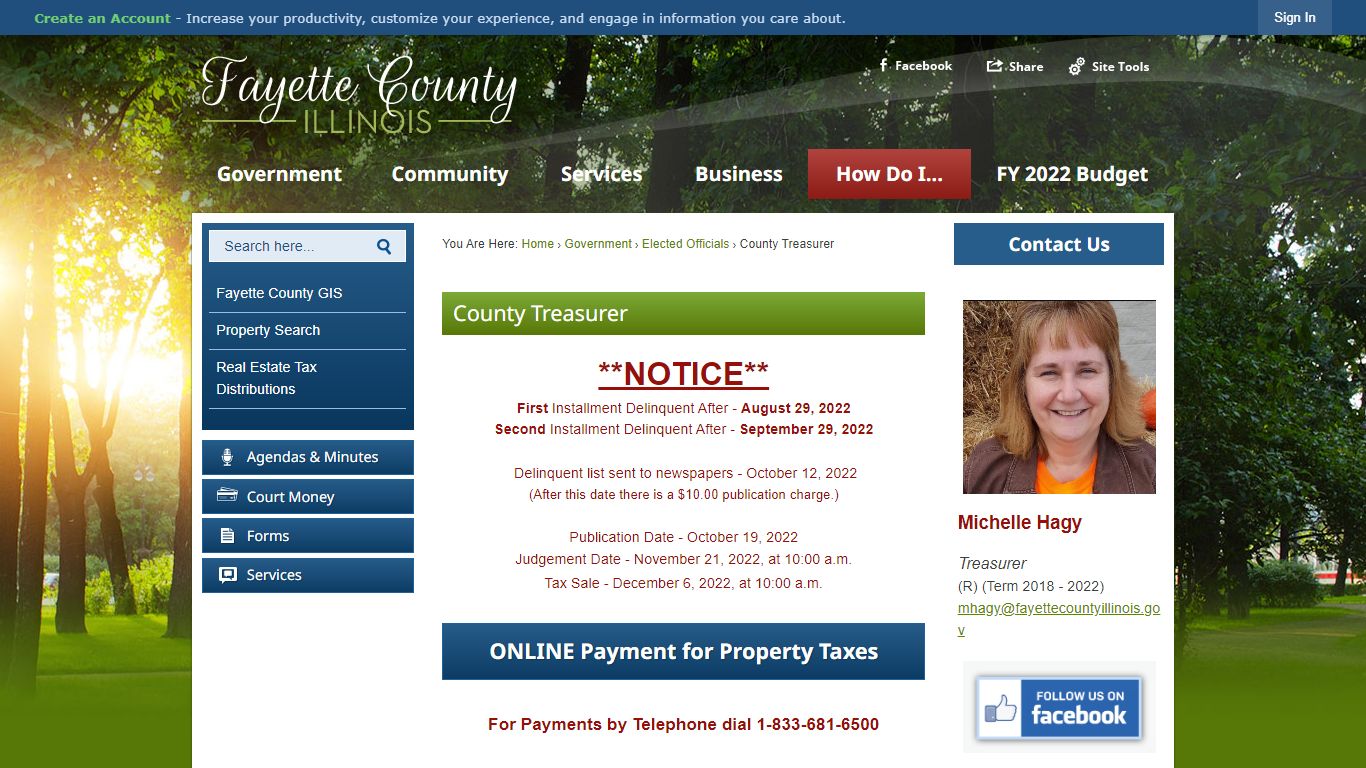 County Treasurer | Fayette County, IL - Official Website